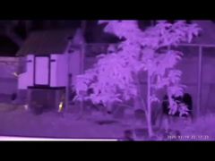 Jumelles de vision nocturne télémétriques NVG08F