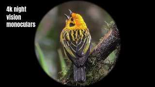 Monoculaire de vision nocturne 4K de haute qualité
