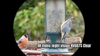 Vision nocturne vidéo 4K NVG07S Clear Observer les oiseaux