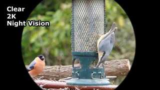 Lunettes de vision nocturne Capture Clear Video 2K