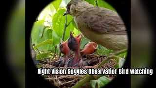 Hondigi 4K lunettes de Vision nocturne Observation observation des oiseaux Observation en plein air