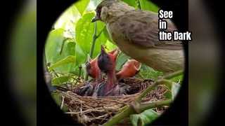 Hondigi Lunettes de vision nocturne Observation